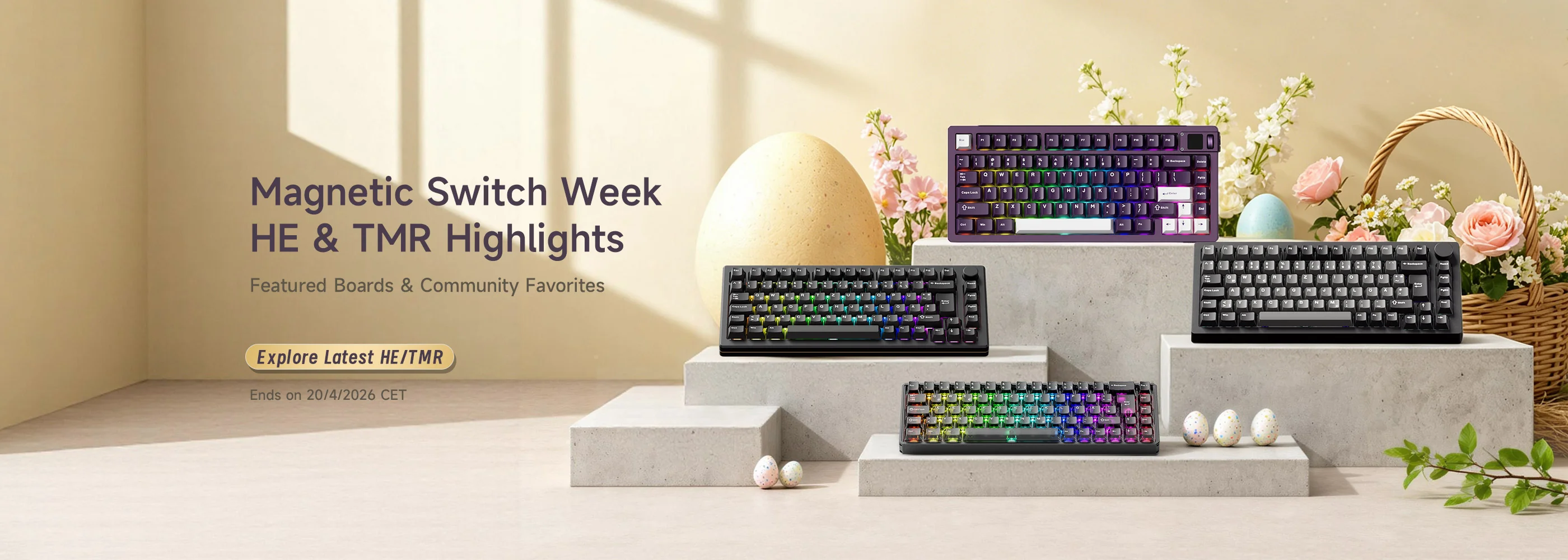 Elevate Your Typing Experience