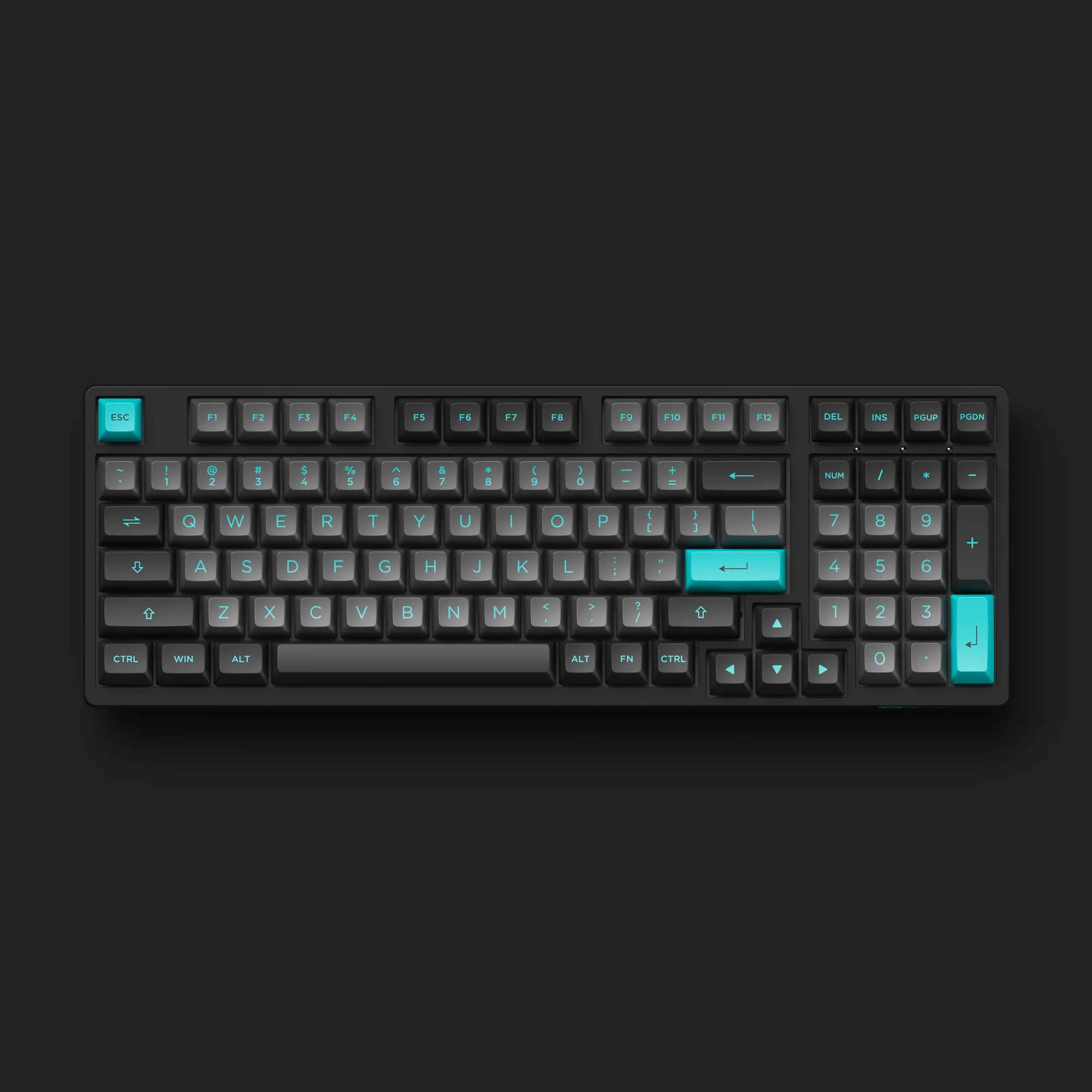 Black & Cyan 3098N - Image 8