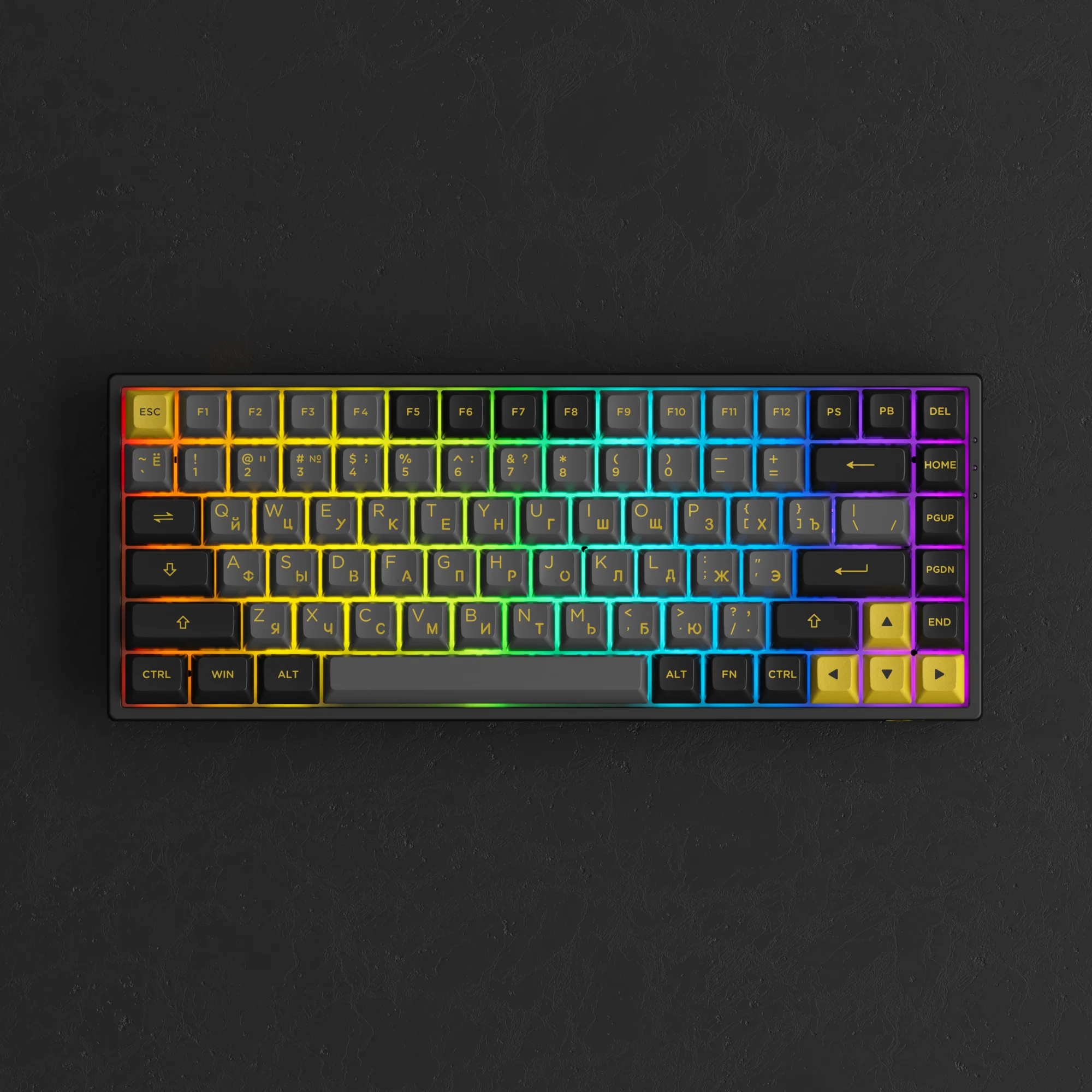 Black & Gold 3084B Plus - Image 5