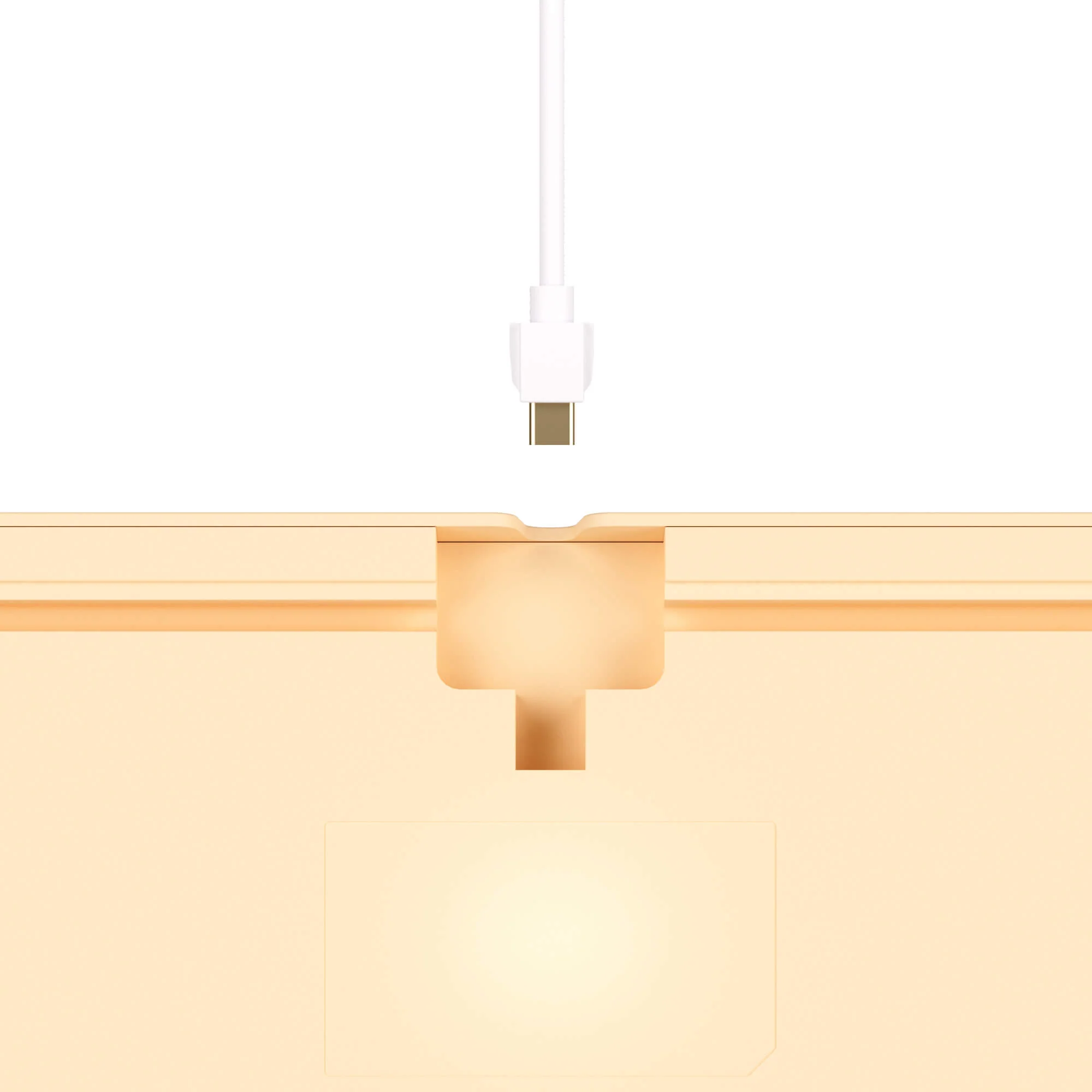 MG108B Bun Wonderland - Image 13