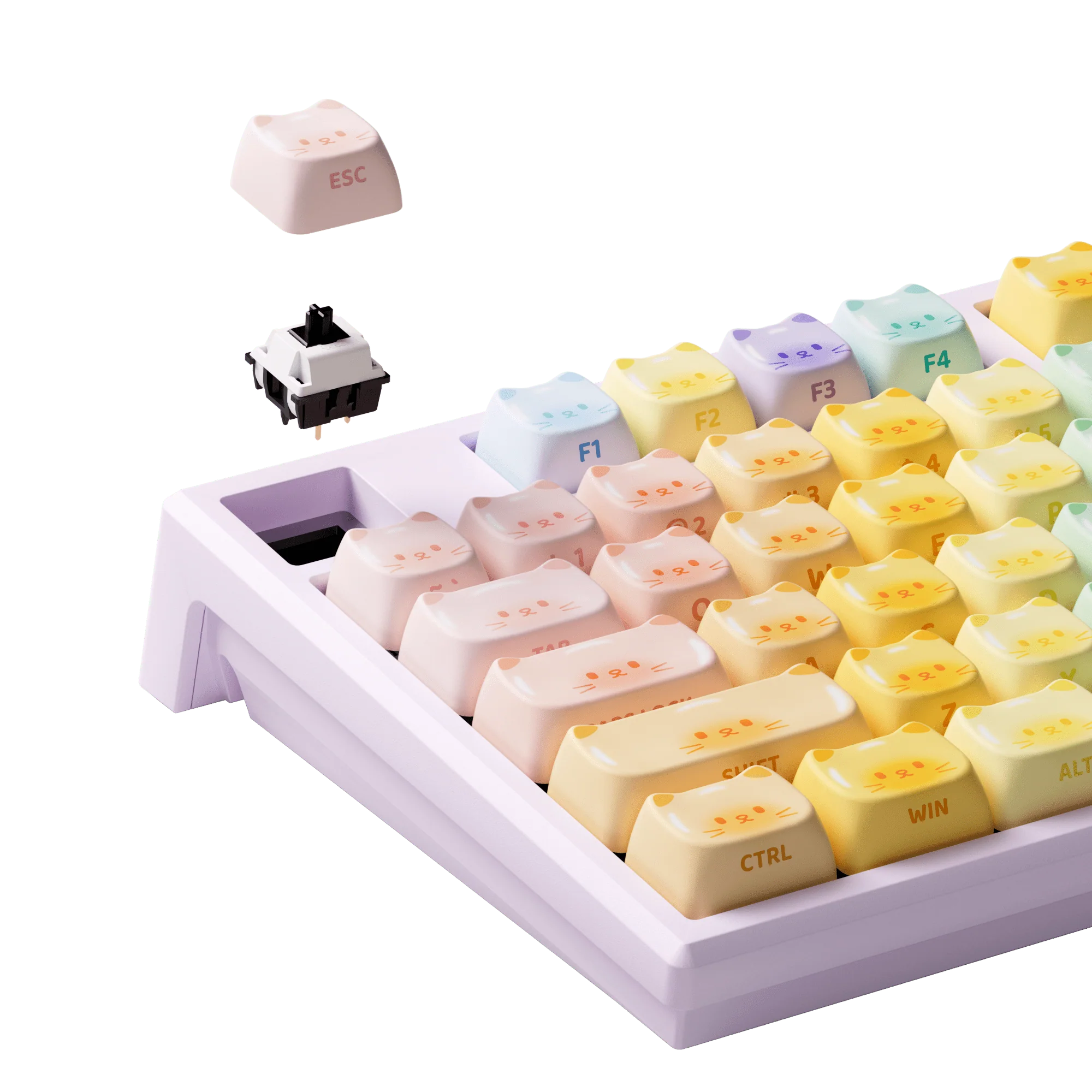 MG108B Colorful Cats - Image 8